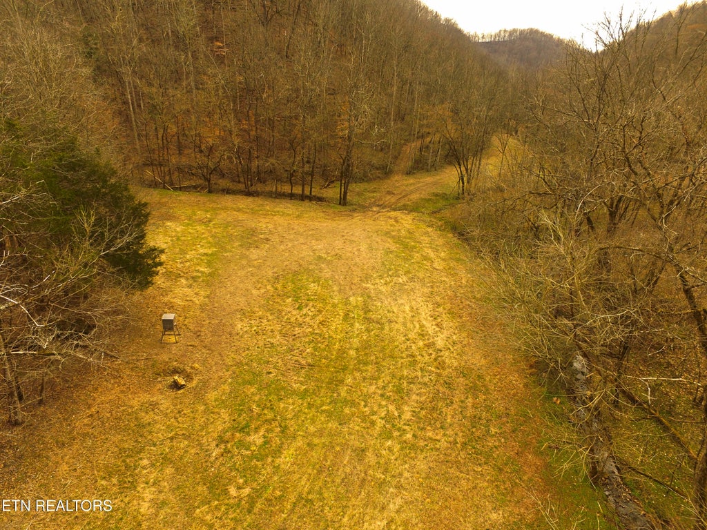 Photo of 290 Hazel Huffines Lane, Whitleyville, TN 38588 (MLS # 1356375)
