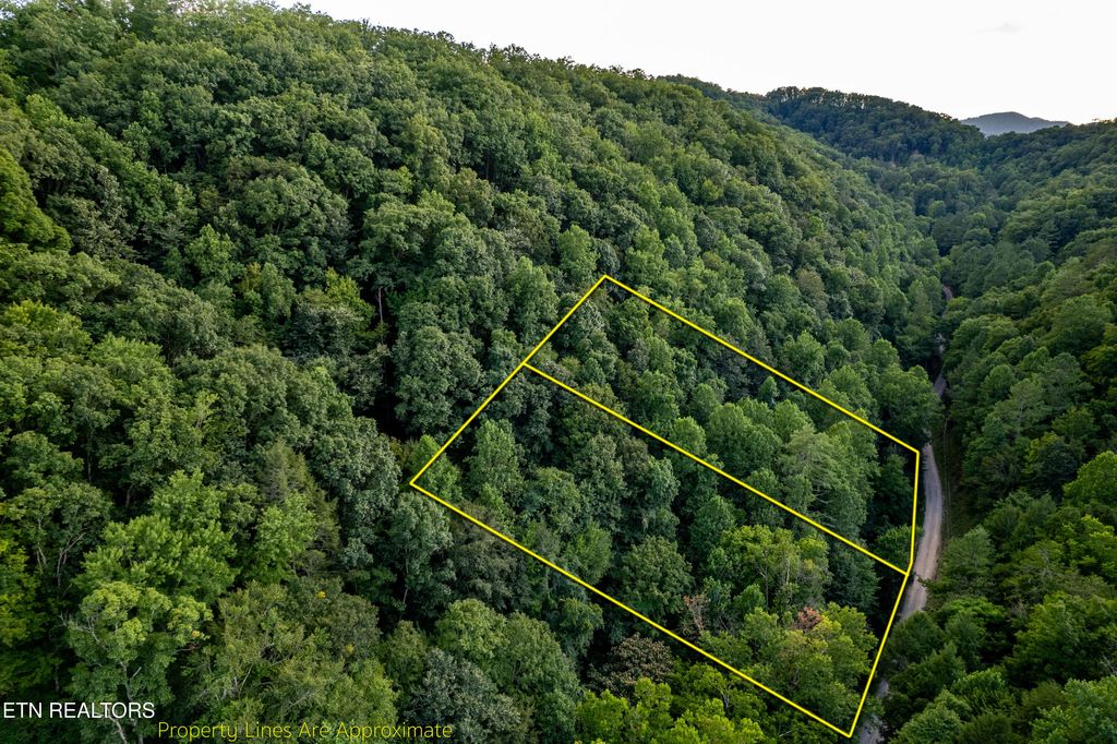 Photo of Hidden Hollow Way, Sevierville, TN 37862 (MLS # 1316948)