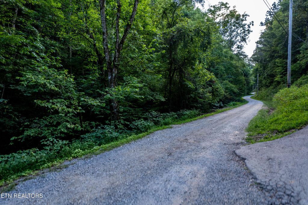 Photo of Hidden Hollow Way, Sevierville, TN 37862 (MLS # 1316948)