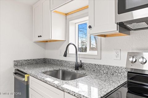 Tiny photo for 124 Blue Drive, LaFollette, TN 37766 (MLS # 1326020)