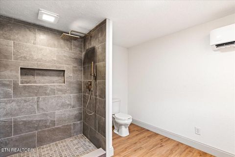 Tiny photo for 124 Blue Drive, LaFollette, TN 37766 (MLS # 1326020)