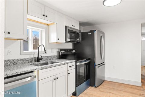 Tiny photo for 124 Blue Drive, LaFollette, TN 37766 (MLS # 1326020)