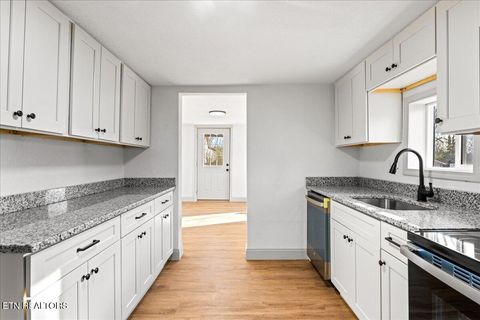 Tiny photo for 124 Blue Drive, LaFollette, TN 37766 (MLS # 1326020)