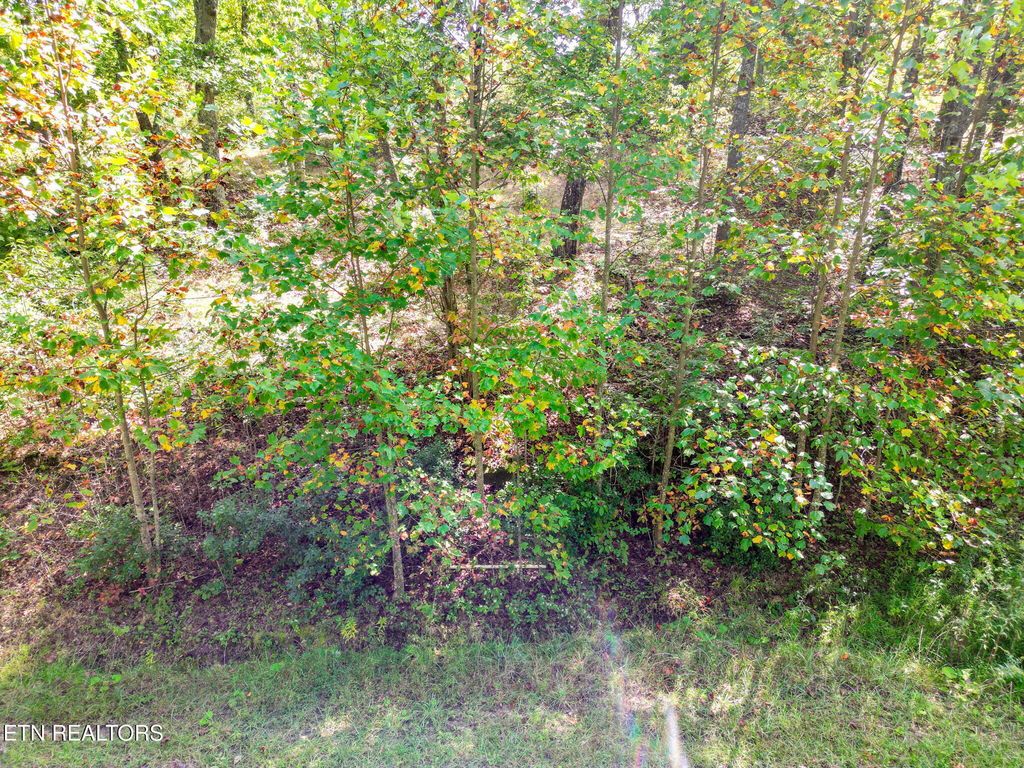 Photo of 30 Mt Clouds Tr, Duff, TN 37729 (MLS # 1317077)