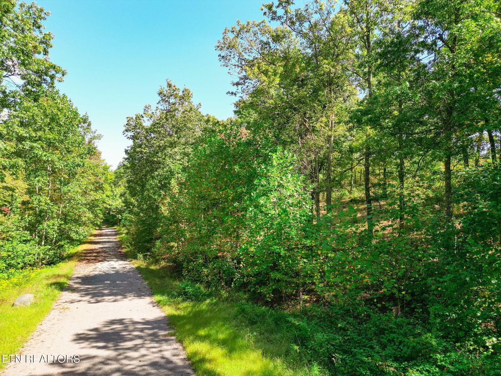 Photo of 30 Mt Clouds Tr, Duff, TN 37729 (MLS # 1317077)