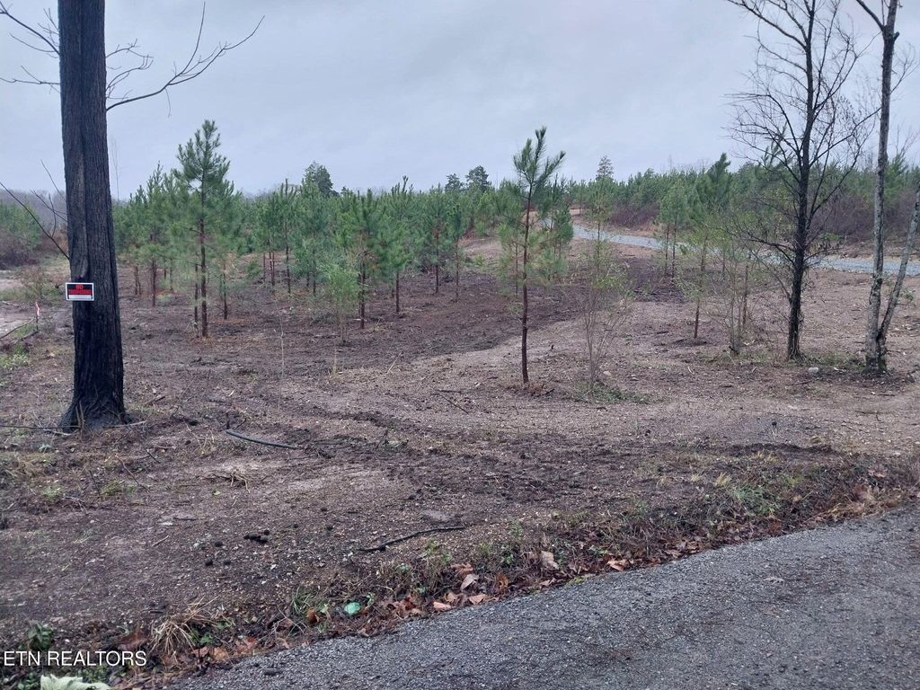 Photo of 339 Big Sewee Rd, Decatur, TN 37322 (MLS # 1334933)