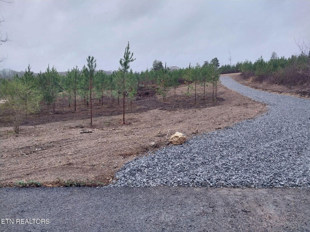 Photo of 339 Big Sewee Rd, Decatur, TN 37322 (MLS # 1334933)