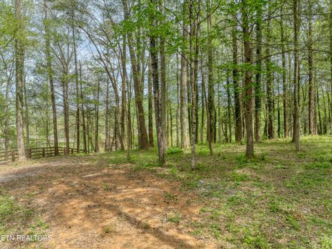Tiny photo for 151 Bethel Church Rd, Townsend, TN 37882 (MLS # 1337268)