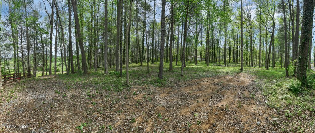 Photo of 151 Bethel Church Rd, Townsend, TN 37882 (MLS # 1337268)