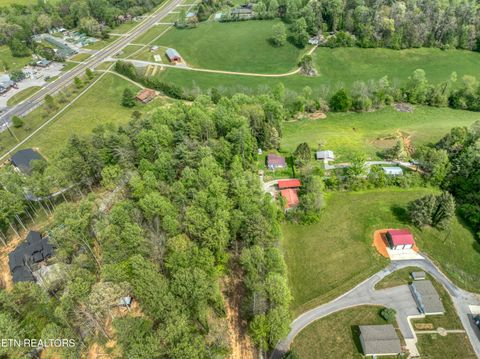 Tiny photo for 151 Bethel Church Rd, Townsend, TN 37882 (MLS # 1337268)