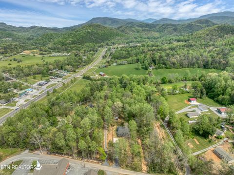 Tiny photo for 151 Bethel Church Rd, Townsend, TN 37882 (MLS # 1337268)