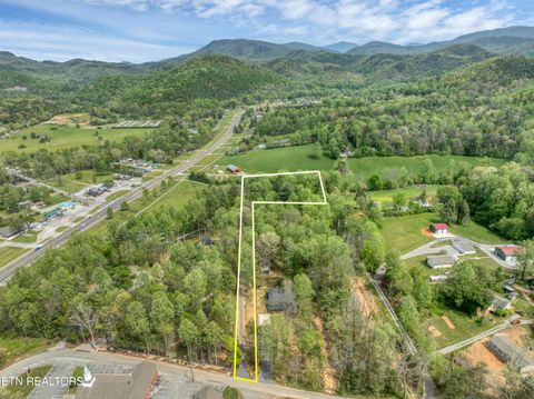 Tiny photo for 151 Bethel Church Rd, Townsend, TN 37882 (MLS # 1337268)