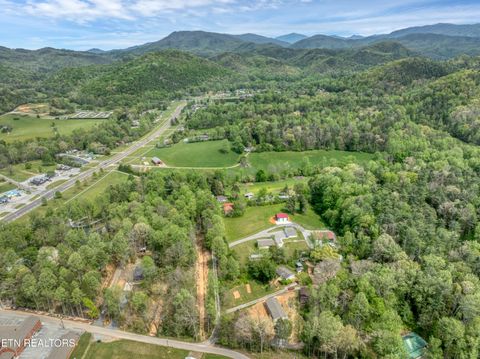 Tiny photo for 151 Bethel Church Rd, Townsend, TN 37882 (MLS # 1337268)
