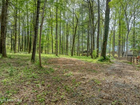 Tiny photo for 151 Bethel Church Rd, Townsend, TN 37882 (MLS # 1337268)