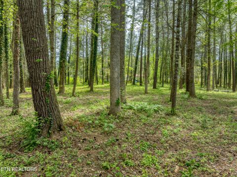 Tiny photo for 151 Bethel Church Rd, Townsend, TN 37882 (MLS # 1337268)