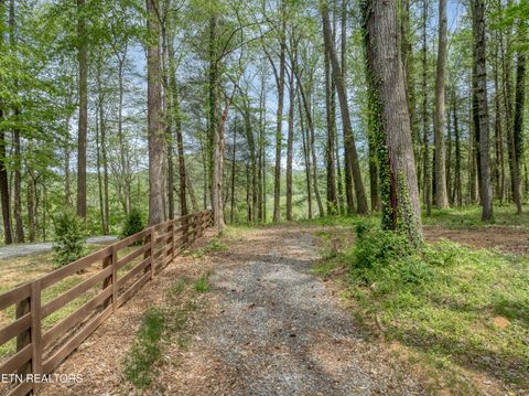 Tiny photo for 151 Bethel Church Rd, Townsend, TN 37882 (MLS # 1337268)