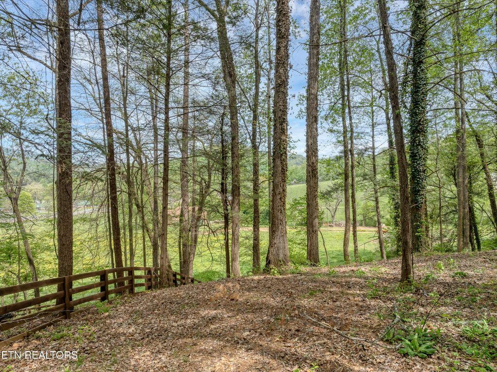 Photo of 151 Bethel Church Rd, Townsend, TN 37882 (MLS # 1337268)