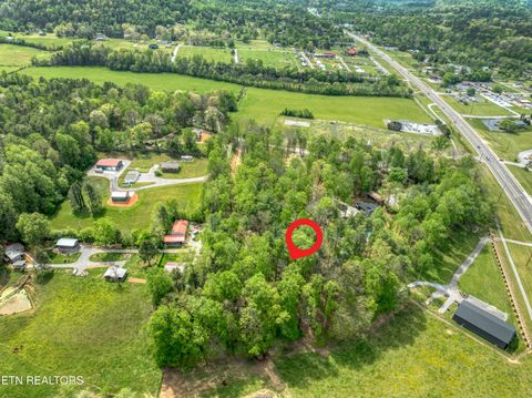 Tiny photo for 151 Bethel Church Rd, Townsend, TN 37882 (MLS # 1337268)