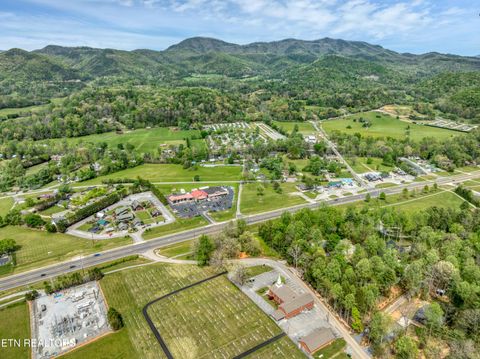 Tiny photo for 151 Bethel Church Rd, Townsend, TN 37882 (MLS # 1337268)