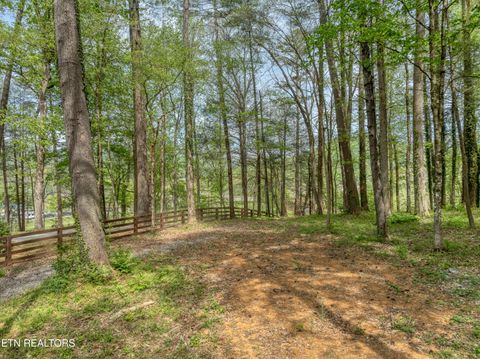Tiny photo for 151 Bethel Church Rd, Townsend, TN 37882 (MLS # 1337268)