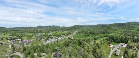 Tiny photo for 151 Bethel Church Rd, Townsend, TN 37882 (MLS # 1337268)