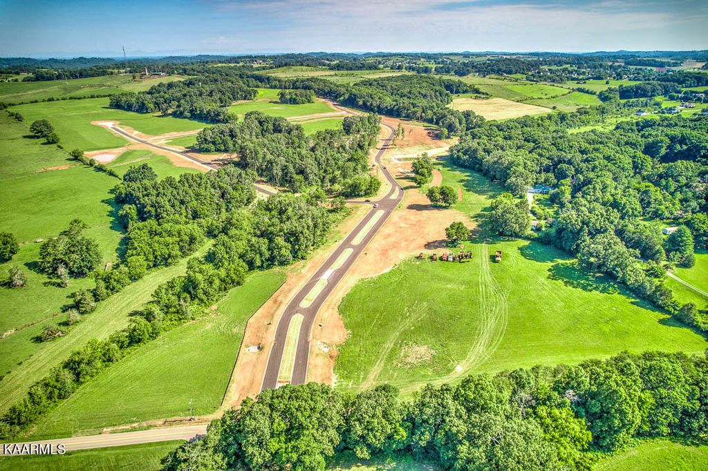 Photo of 1802 Sophie Drive, Greenback, TN 37742 (MLS # 1233363)