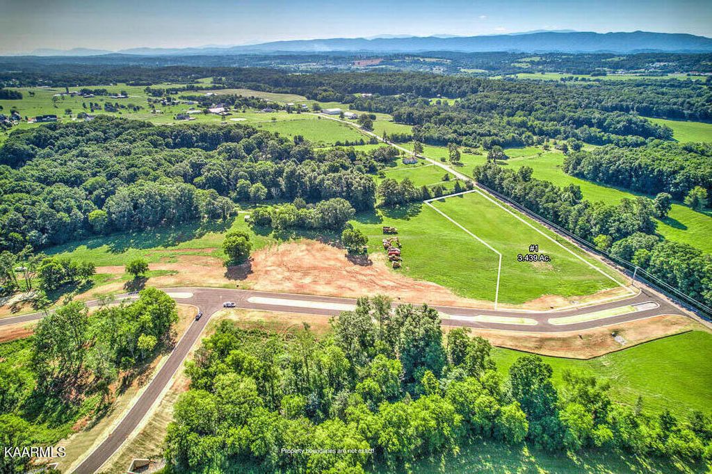 Photo of 1802 Sophie Drive, Greenback, TN 37742 (MLS # 1233363)