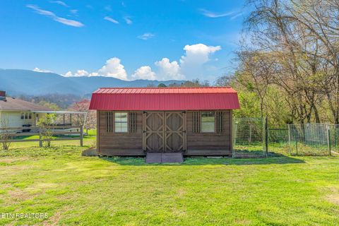Tiny photo for 174 Jackson Rd, Caryville, TN 37714 (MLS # 1325805)