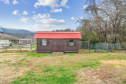 Tiny photo for 174 Jackson Rd, Caryville, TN 37714 (MLS # 1325805)