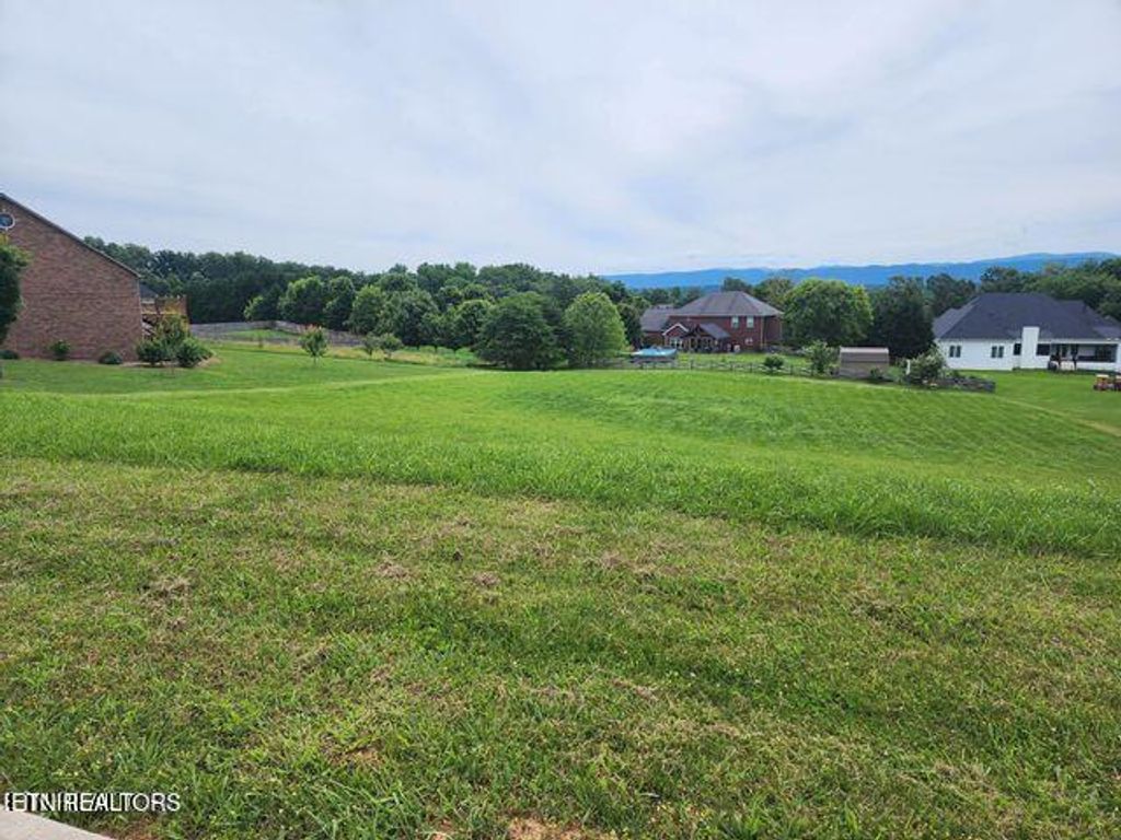 Photo of 1174 Houston Springs Rd, Greenback, TN 37742 (MLS # 1292273)
