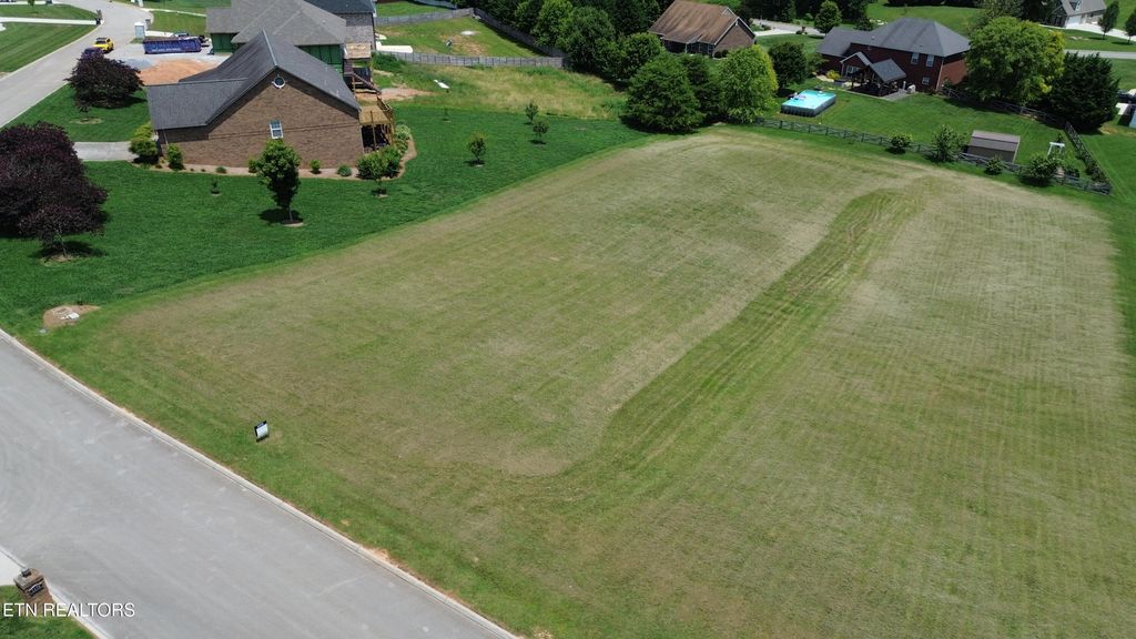 Photo of 1174 Houston Springs Rd, Greenback, TN 37742 (MLS # 1292273)