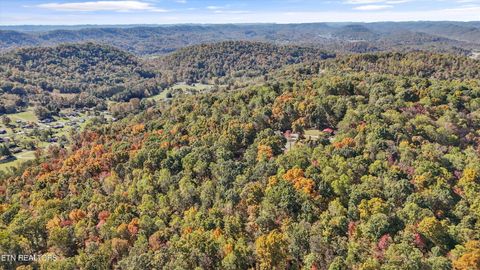 Tiny photo for 254 Dogwood Lane, Maynardville, TN 37807 (MLS # 1320502)