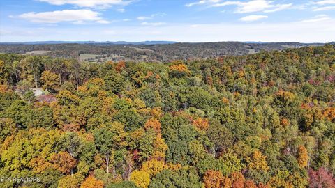 Tiny photo for 254 Dogwood Lane, Maynardville, TN 37807 (MLS # 1320502)