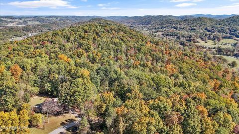 Tiny photo for 254 Dogwood Lane, Maynardville, TN 37807 (MLS # 1320502)