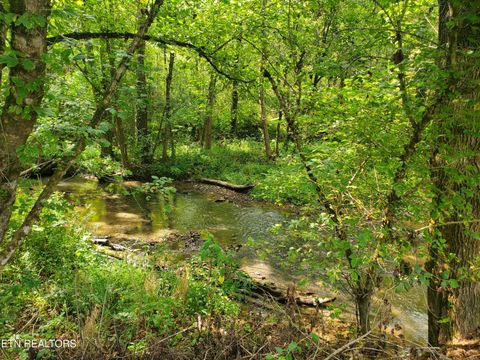 Tiny photo for 126 Dale Rd, Powder Springs, TN 37848 (MLS # 1315917)