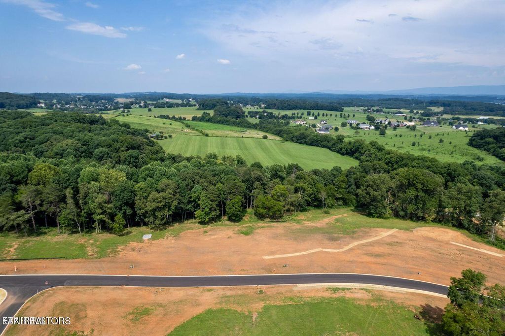 Photo of 17926 Sophie Drive, Greenback, TN 37742 (MLS # 1317078)