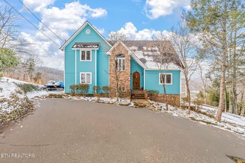 1368 N Shorewood Lane Caryville TN 37714