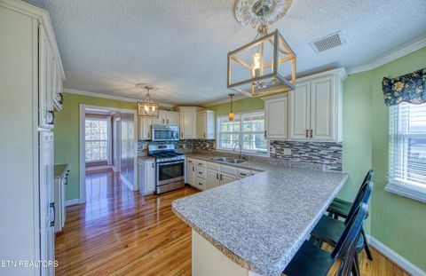 Tiny photo for 1110 Bayfront Drive, Sevierville, TN 37876 (MLS # 1315545)