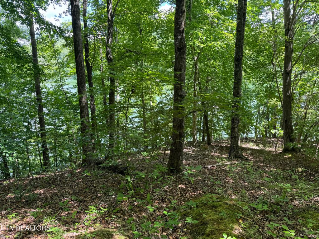 Photo of Mountain Shores Rd, New Tazewell, TN 37825 (MLS # 1264330)
