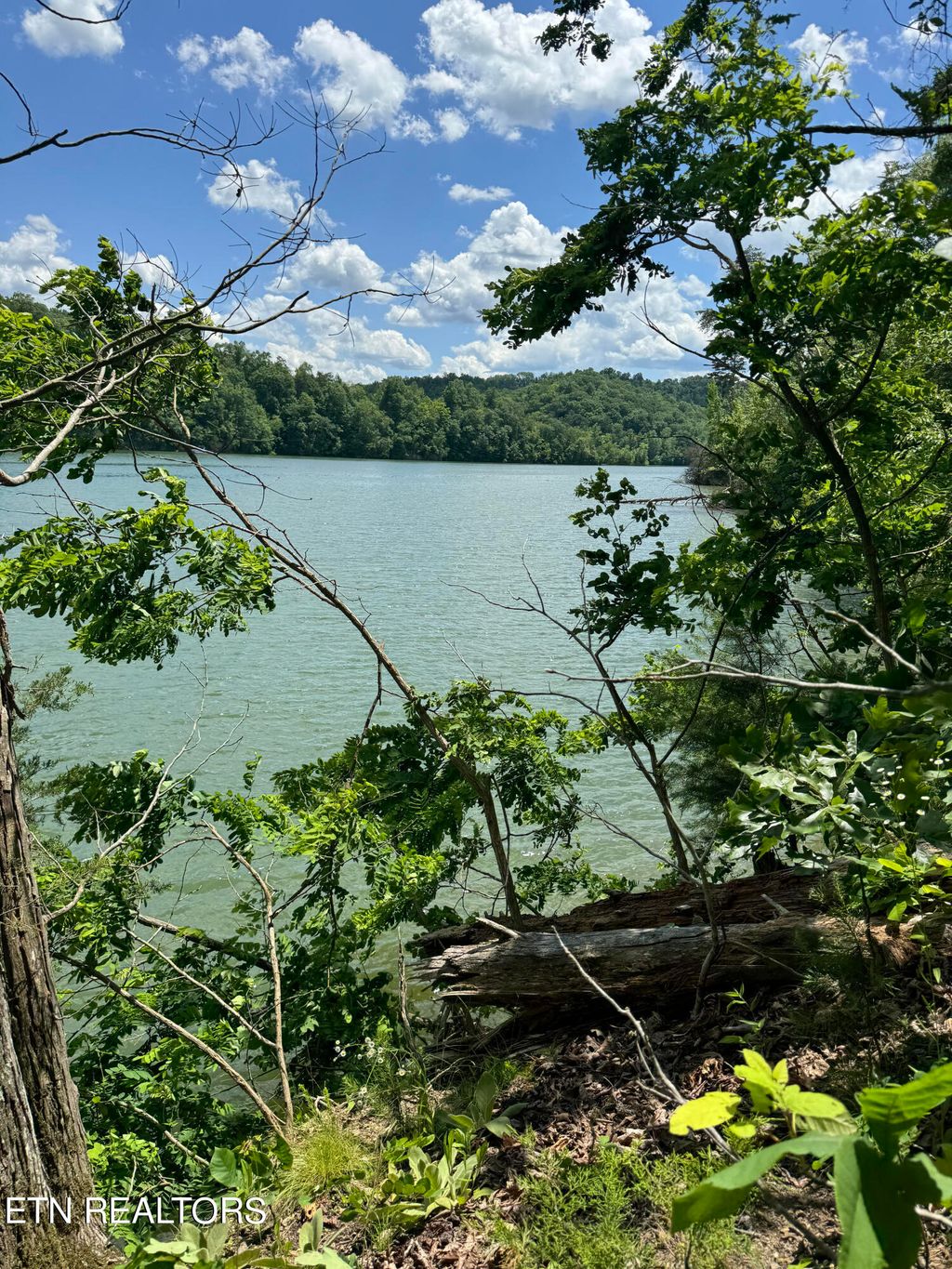 Photo of Mountain Shores Rd, New Tazewell, TN 37825 (MLS # 1264330)