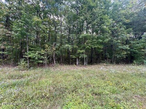 Photo of Huckleberry, Monterey, TN 38574 (MLS # 1317883)
