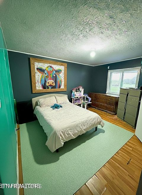 Tiny photo for 2580 Reed Springs Rd, Sweetwater, TN 37874 (MLS # 1323067)