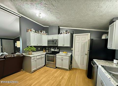 Tiny photo for 2580 Reed Springs Rd, Sweetwater, TN 37874 (MLS # 1323067)