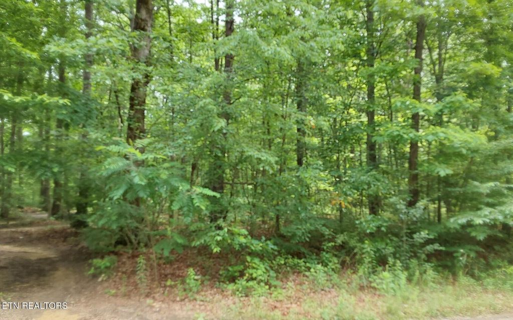 Photo of 00 Gray Fox Drive, Crossville, TN 38555 (MLS # 1343116)
