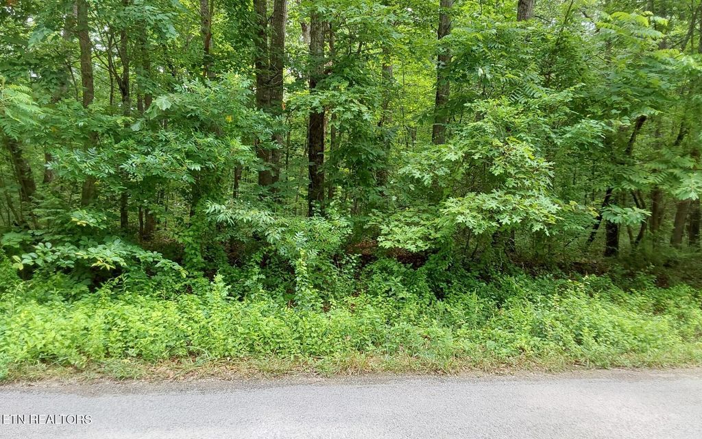 Photo of 00 Gray Fox Drive, Crossville, TN 38555 (MLS # 1343116)