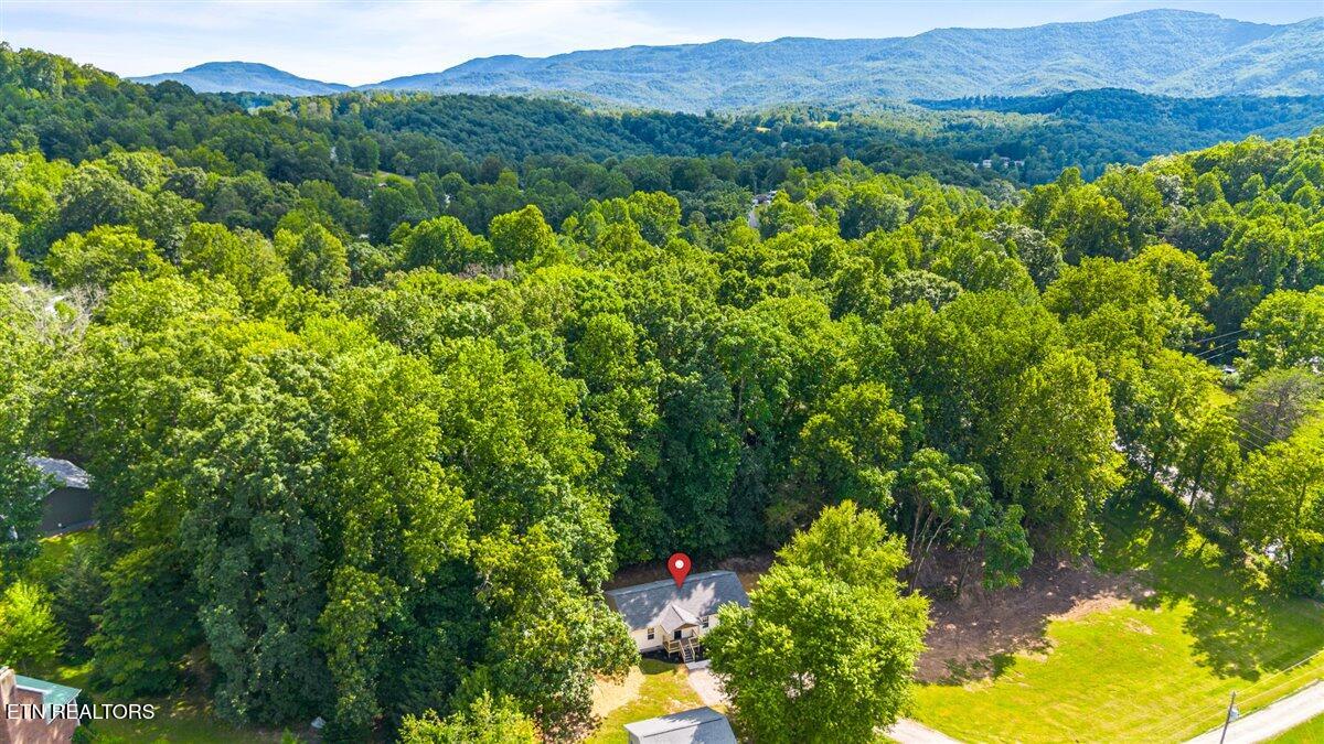 355 Mcdeerman Rd