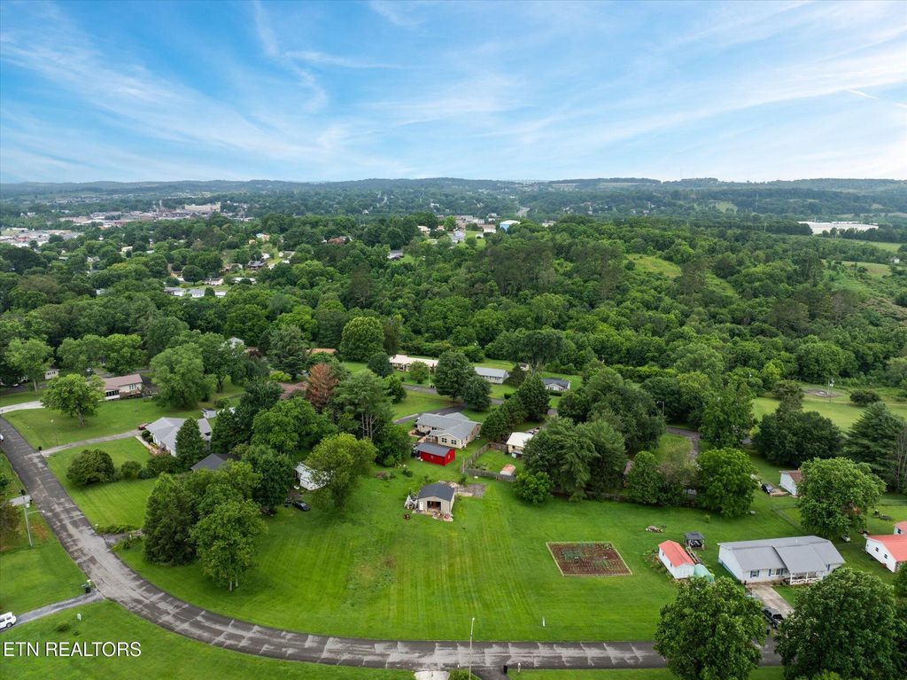 Photo of 411 kinzalow Drive, Sweetwater, TN 37874 (MLS # 1305115)
