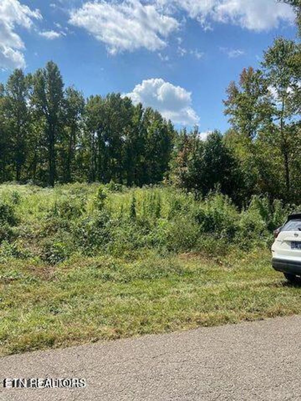 Photo of 00 Old Mine Road Rd, Sweetwater, TN 37874 (MLS # 1317303)