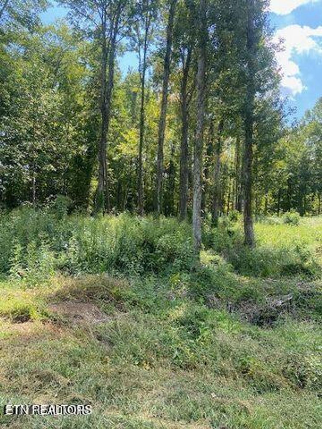 Photo of 00 Old Mine Road Rd, Sweetwater, TN 37874 (MLS # 1317303)
