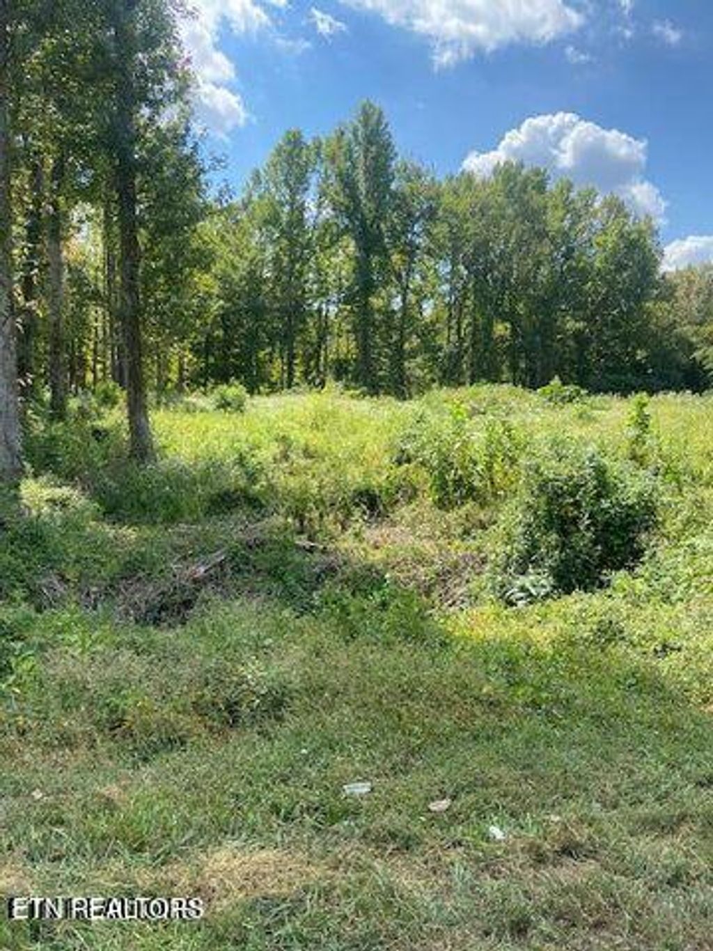 Photo of 00 Old Mine Road Rd, Sweetwater, TN 37874 (MLS # 1317303)